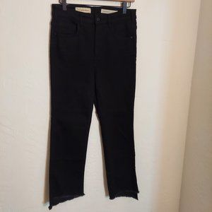 Anthropologie Pilcro and the Letterpress Jeans